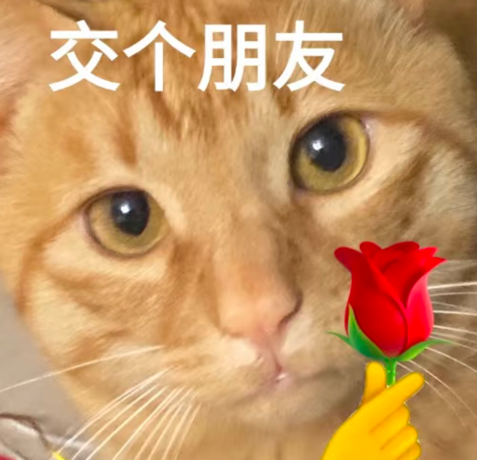 1740397033383070422.png